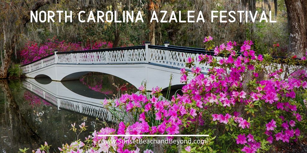 North Carolina Azalea Festival