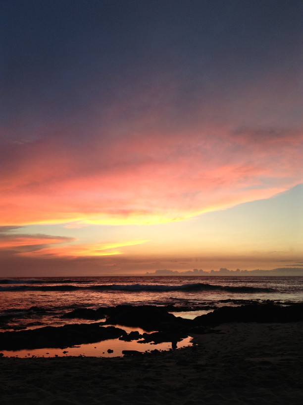 The Tidepools of the Carolina Coast