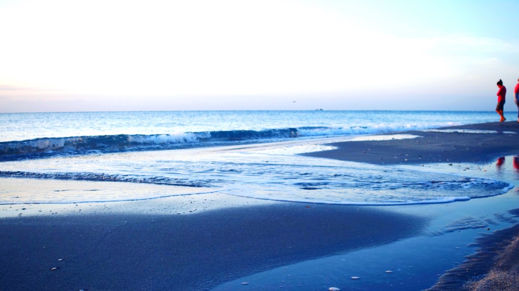 The Tidepools of the Carolina Coast