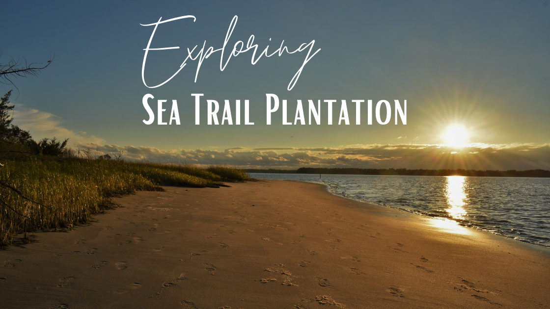 Exploring Sea Trail Plantation in Sunset Beach