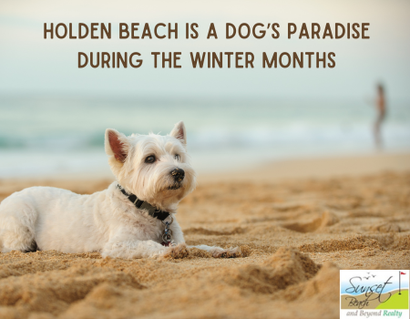 Holden Beach is a Dog’s Paradise During the Winter Months