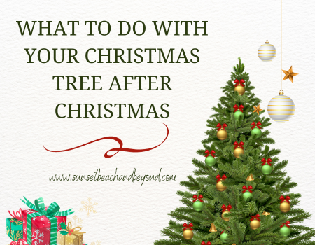 What To Do With Your Christmas Tree After Christmas