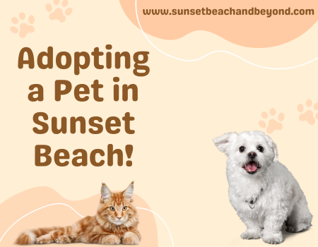 Adopting a Pet in Sunset Beach!