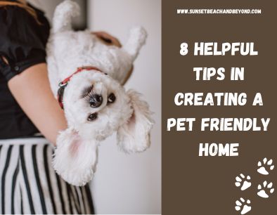 8 Helpful Tips in Creating a Pet Friendly Home