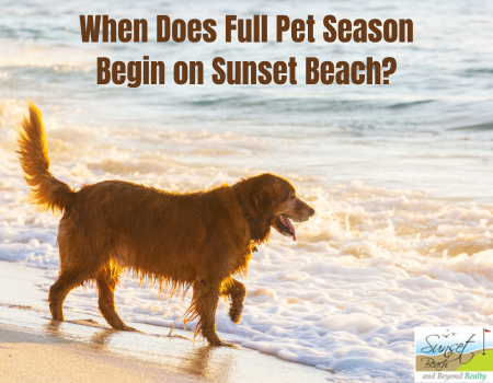When Does Full Pet Season Begin on Sunset Beach?