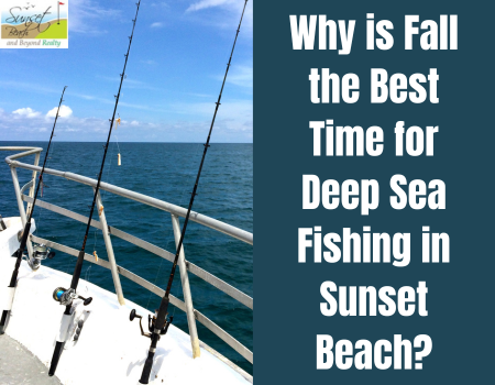 Why is Fall the Best Time for Deep Sea Fishing in Sunset Beach?