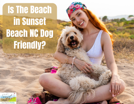 Is The Beach in Sunset Beach NC Dog Friendly?